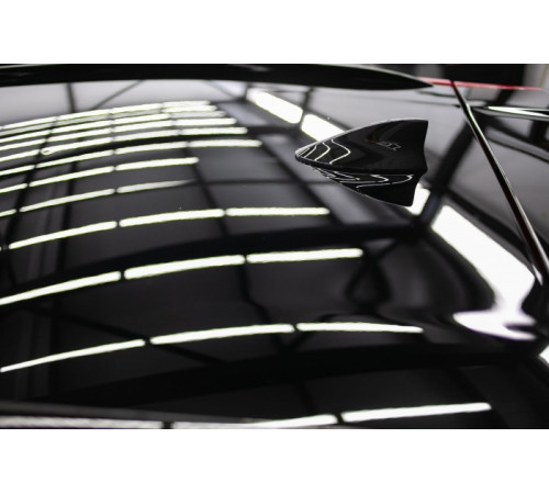 Spectroll PPF BLACK - Черный полиуретан для крыш (глянец)